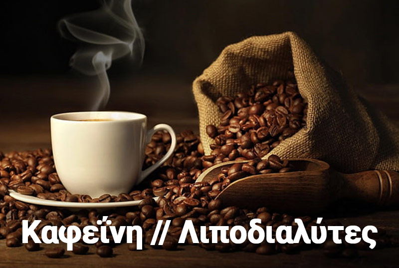 Γνωριμία με τους Λιποδιαλύτες