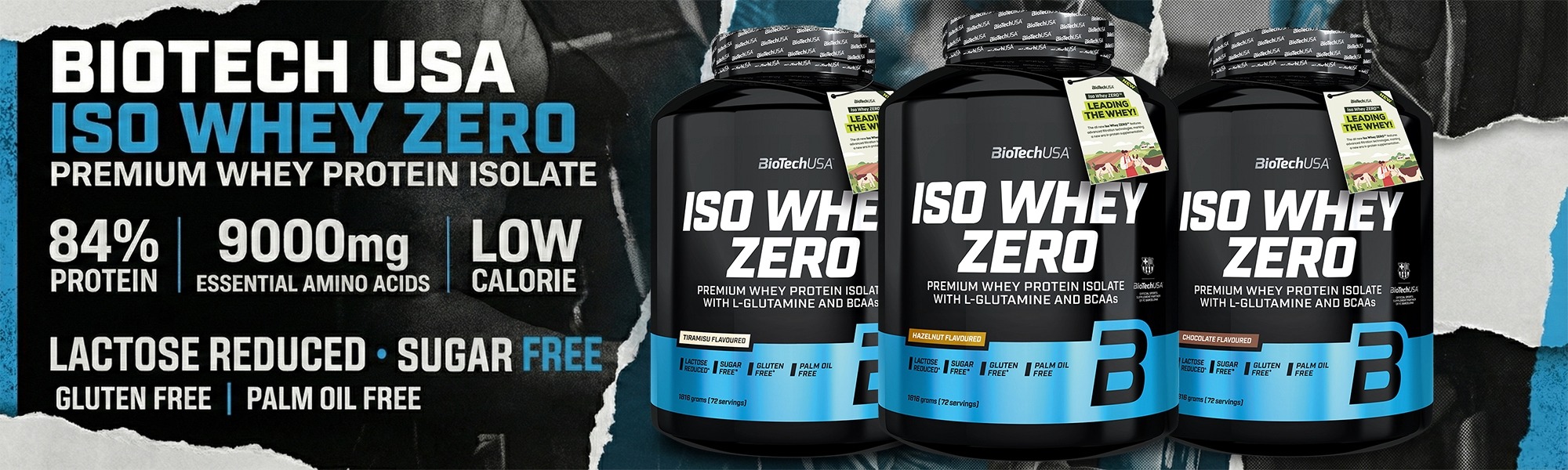 BIOTECH ISO WHEY COPY