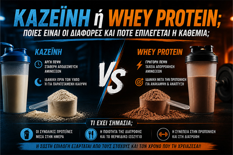 Καζεΐνη ή whey protein: Ποιες είναι οι διαφορές και πότε επιλέγεται η καθεμία;