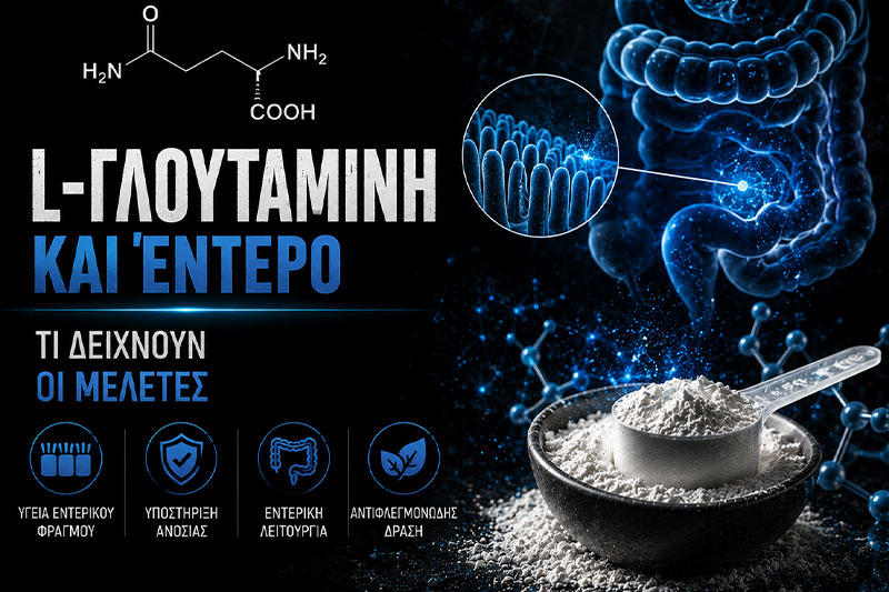 L‑Γλουταμίνη και Έντερο: Τι Δείχνουν οι Μελέτες