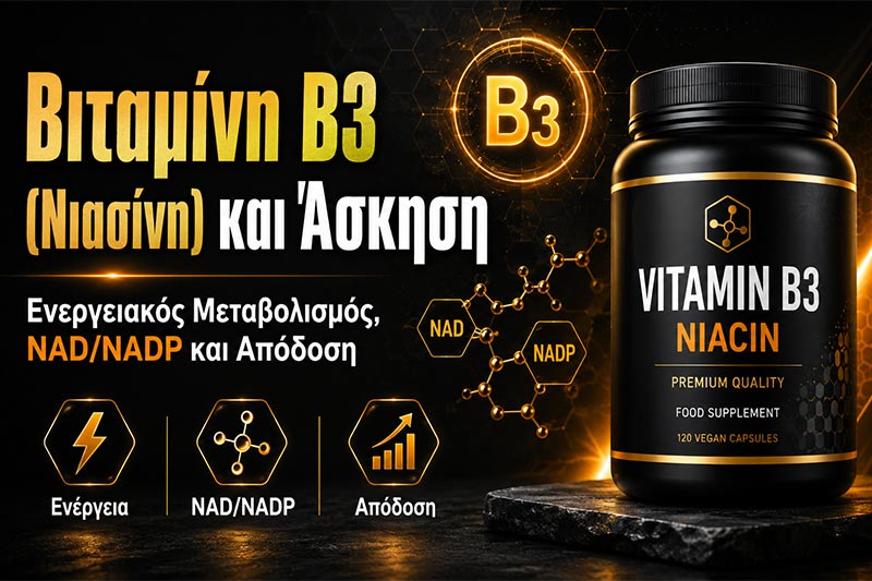 Vitamin B3 (Niacin) and Exercise: Energy Metabolism, NAD/NADP and Performance
