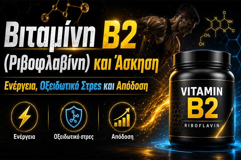Vitamin B2 (Riboflavin) and Exercise: Energy, Oxidative Stress and Performance