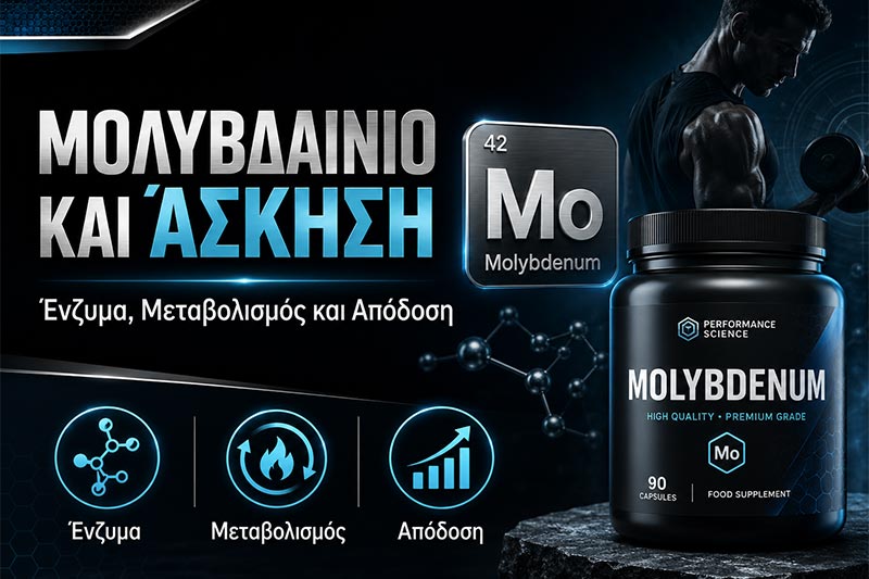 Molybdenum and Exercise: Enzymes, Metabolism and Performance