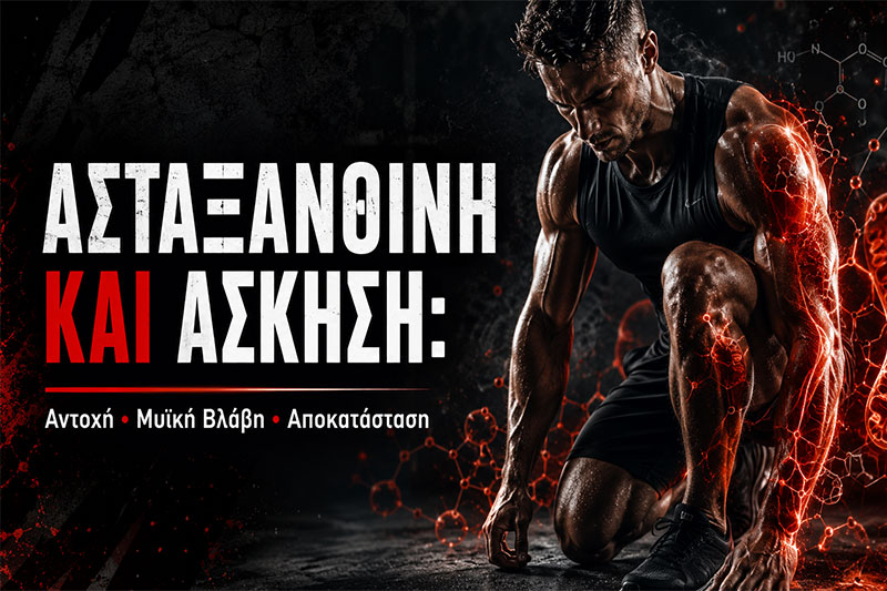 Astaxanthin and Exercise: Endurance, Muscle Damage and Recovery