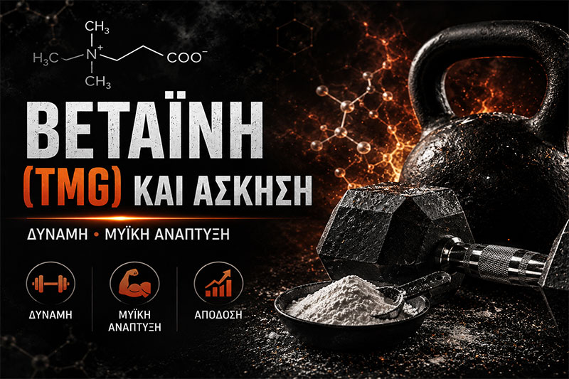 Betaine (TMG) and Exercise: Strength and Muscle Growth