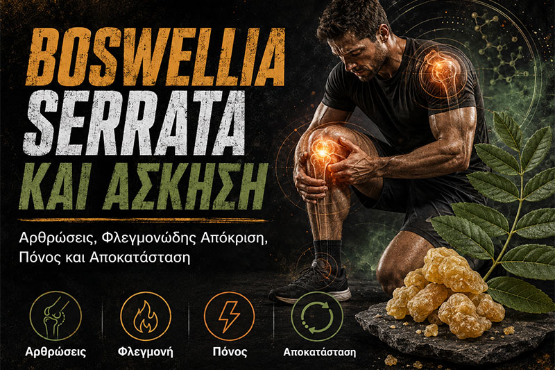 Boswellia serrata and Exercise: Joints, Muscle Soreness and Recovery