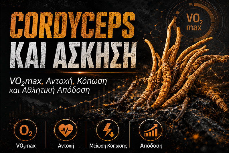 Cordyceps και Άσκηση: VO₂max, Αντοχή, Κόπωση και Αθλητική Απόδοση