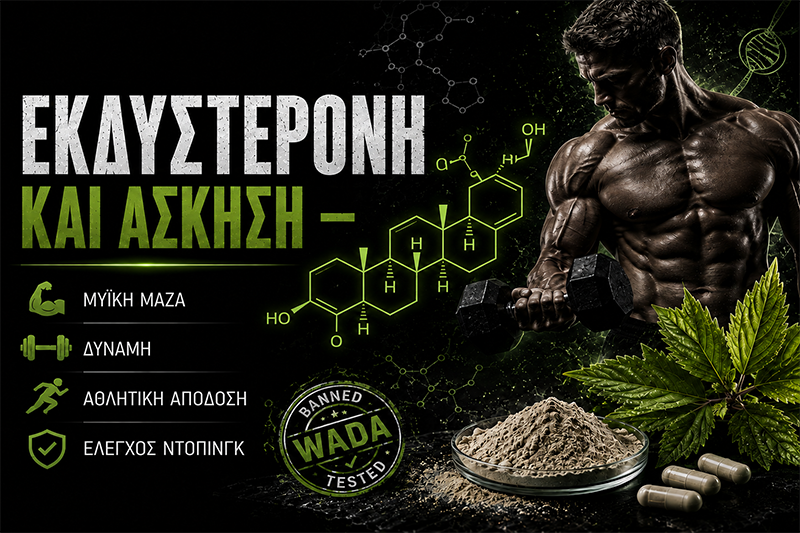 Ecdysterone and Exercise: Muscle, Strength and WADA Status