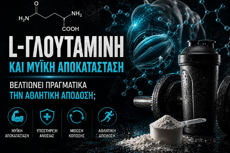 L‑Γλουταμίνη και Μυϊκή Αποκατάσταση: Λειτουργεί;
