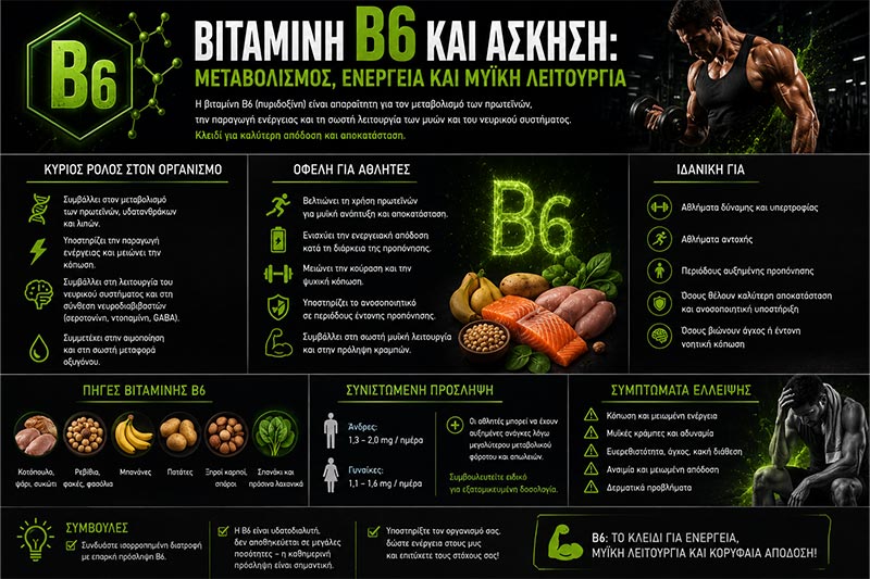 Vitamin B6 and Exercise: Metabolism, Energy and Muscle Function