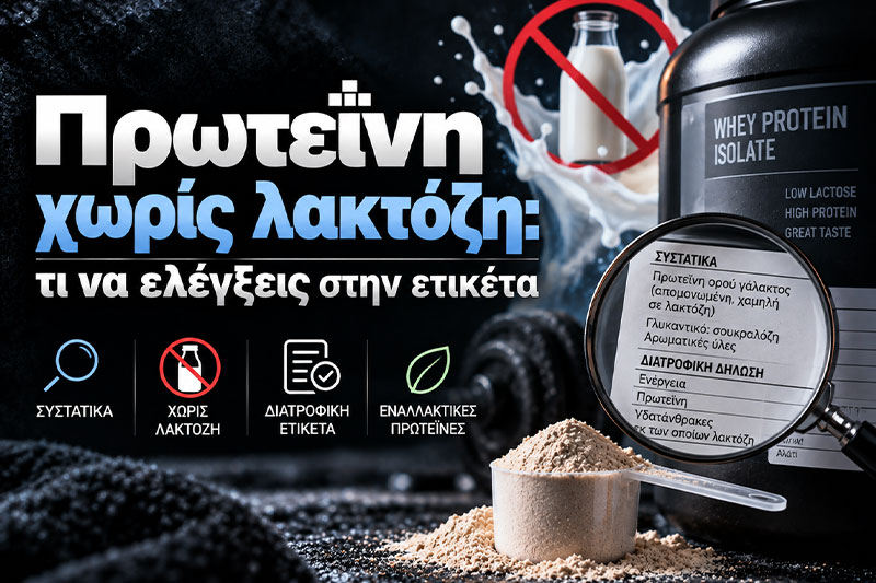 Lactose-Free Protein Powder: What to Check on the Label
