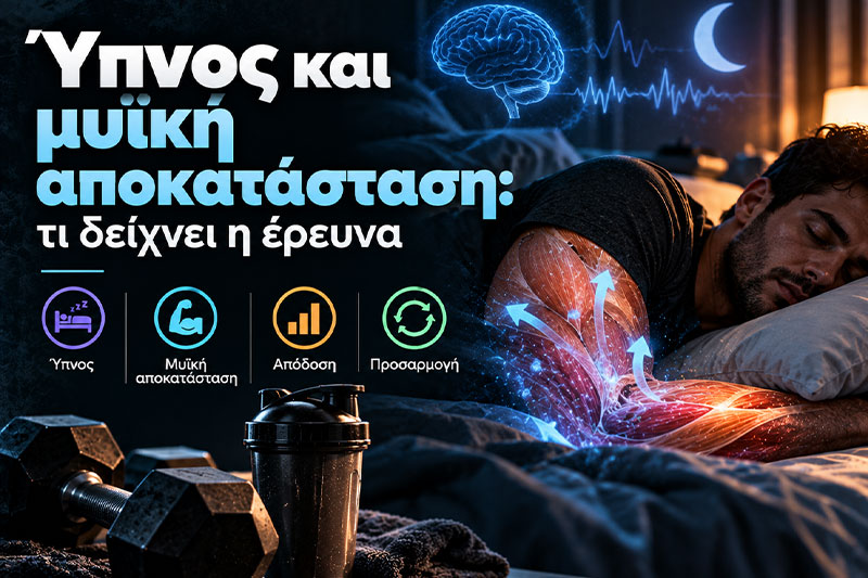 Ύπνος και μυϊκή αποκατάσταση: τι δείχνει η έρευνα