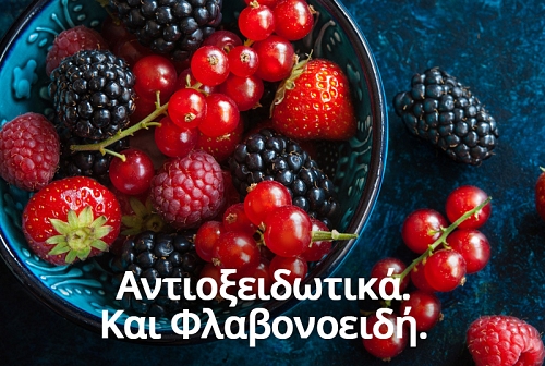 Αντιοξειδωτικά και Φλαβονοειδή